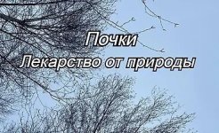 cover.jpg cover.jpg
