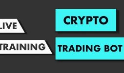 cover.jpg cover.jpg