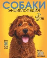 cover.jpg