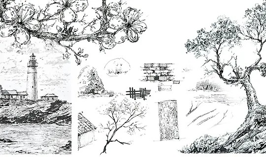 Базовый курс графики. Основы (2024)