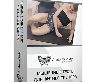 Мышечные тесты для фитнес тренера (2023)
