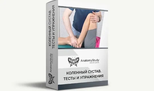 Коленный сустав. Тесты и упражнения (2020)