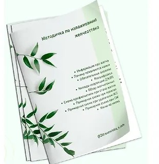 Методичка по улучшению желчеоттока (2025)