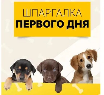 Шпаргалка первого дня (2023)