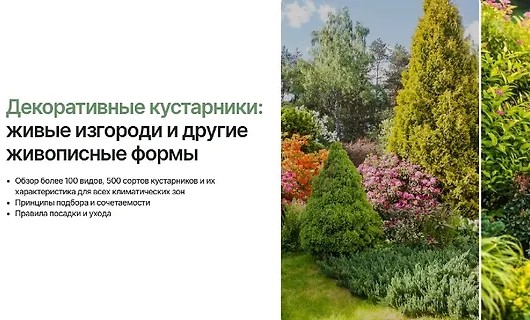 Декоративные кустарники: Живые изгороди и другие живописные формы…