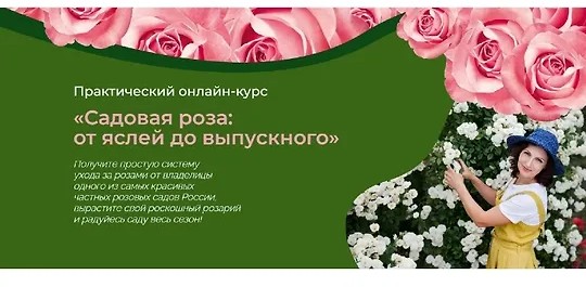 Садовая роза: от яслей до выпускного (2025)